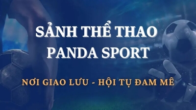 Panda Sports - Cập nhật mới mọi thông tin cá cược thể thao